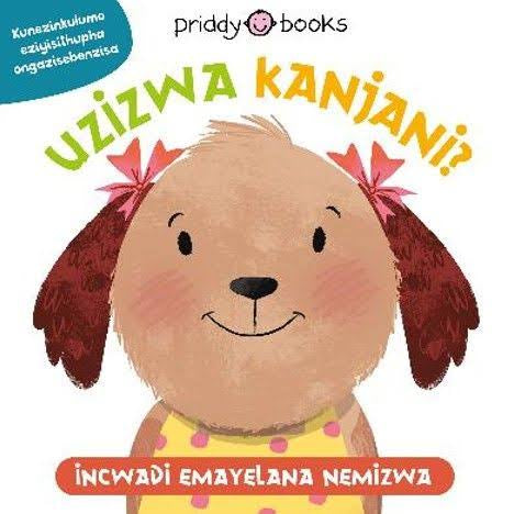 HOW DO YOU FEEL? | ISIZULU (UZIZWA KANJANI?)
