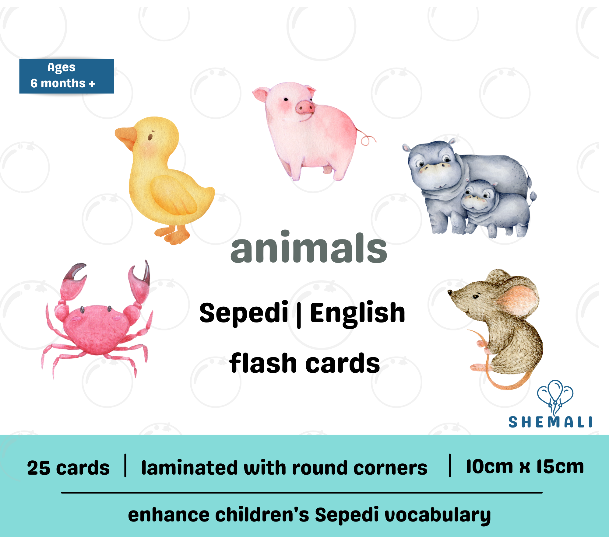 ANIMALS - SEPEDI TO ENGLISH FLASH CARDS