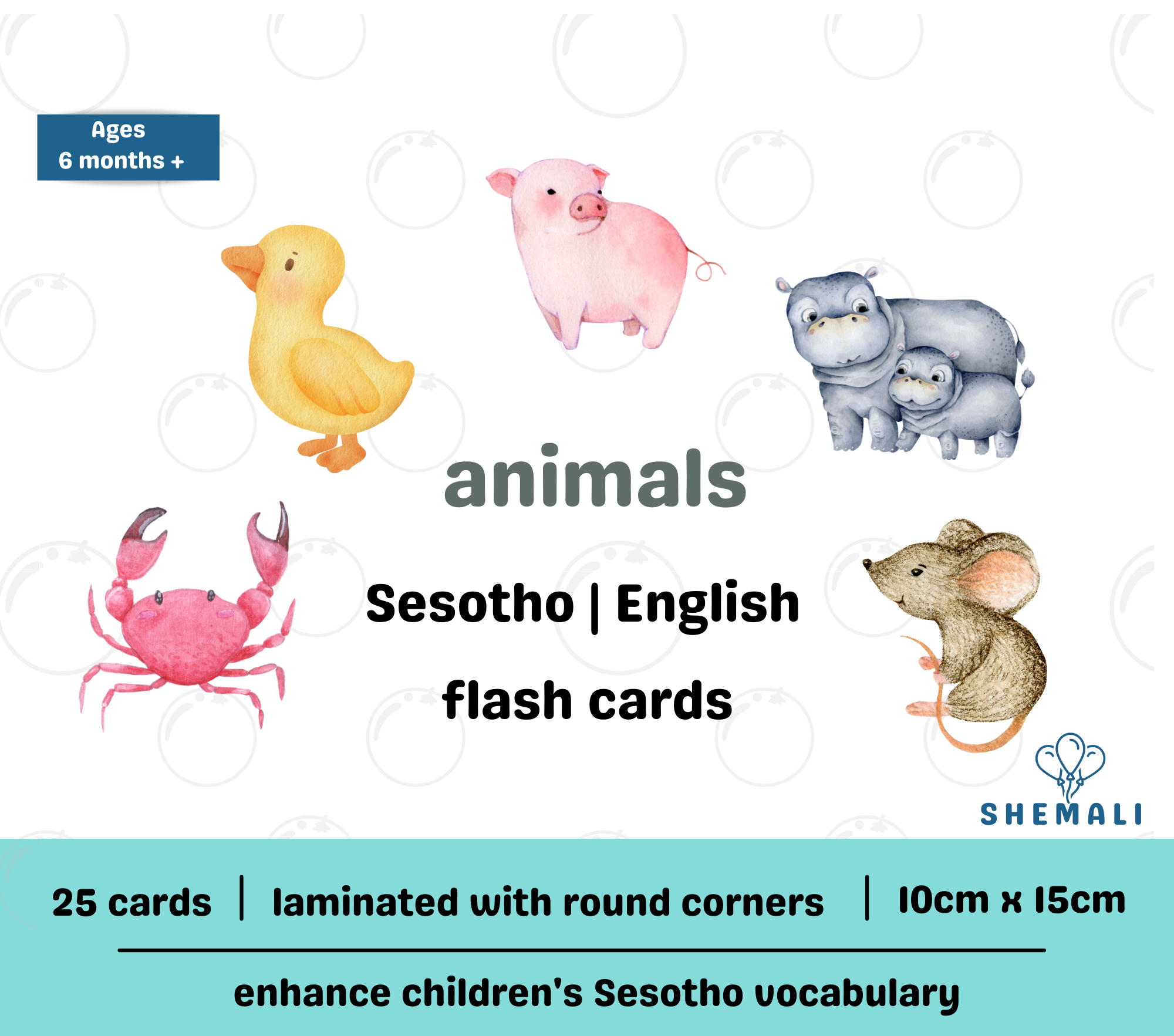 ANIMALS - SESOTHO TO ENGLISH FLASH CARDS